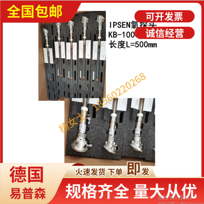 德国进口易普森氧探头 500mm传感器